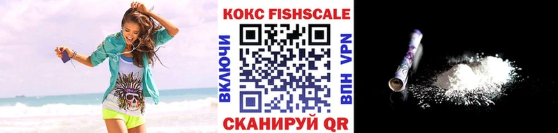COCAIN Fish Scale  Купить где  Выкса 