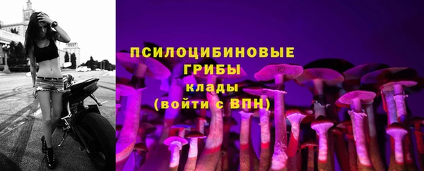таблы Алексеевка