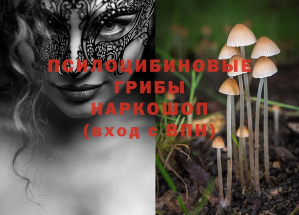 таблы Алексеевка