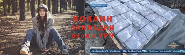 гашик Новозыбков