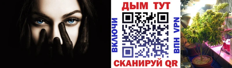 Купить где  Выкса  Конопля AK-47 